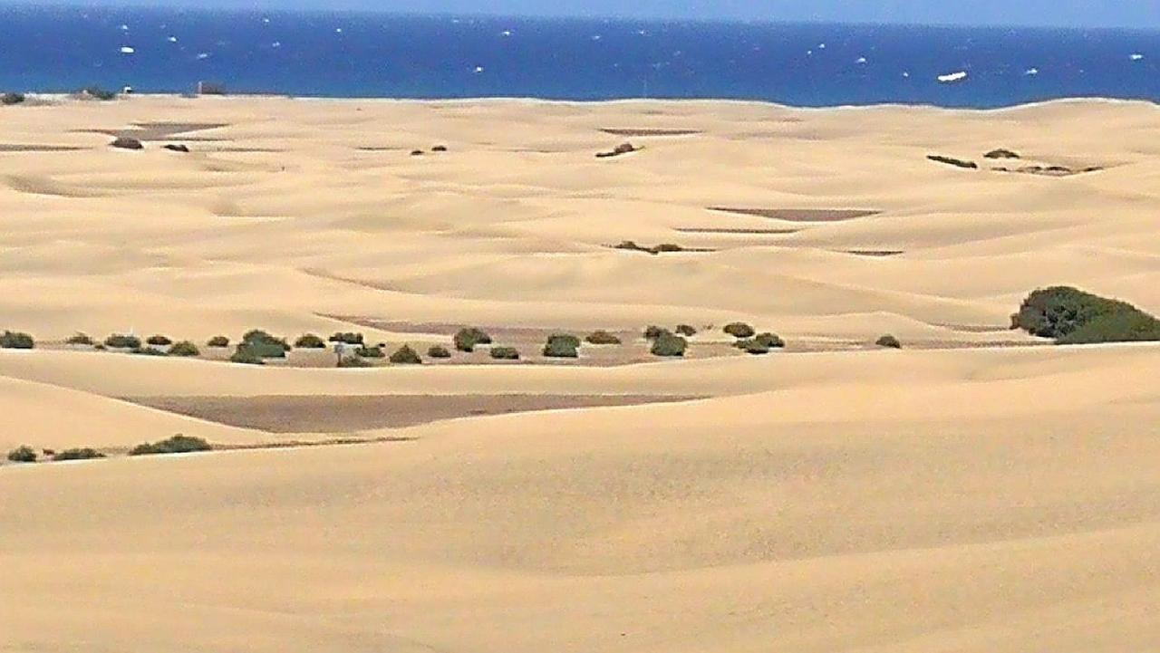 Top1 Green Sea Bungalow Jardin Maspalomas (Gran Canaria) Exterior foto